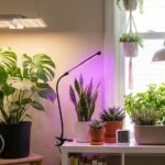 Why Is It Difficult to Walk on Sand? The Science of Sinking