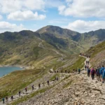 How Far Are You Allowed to Reverse: UK Driving Rules