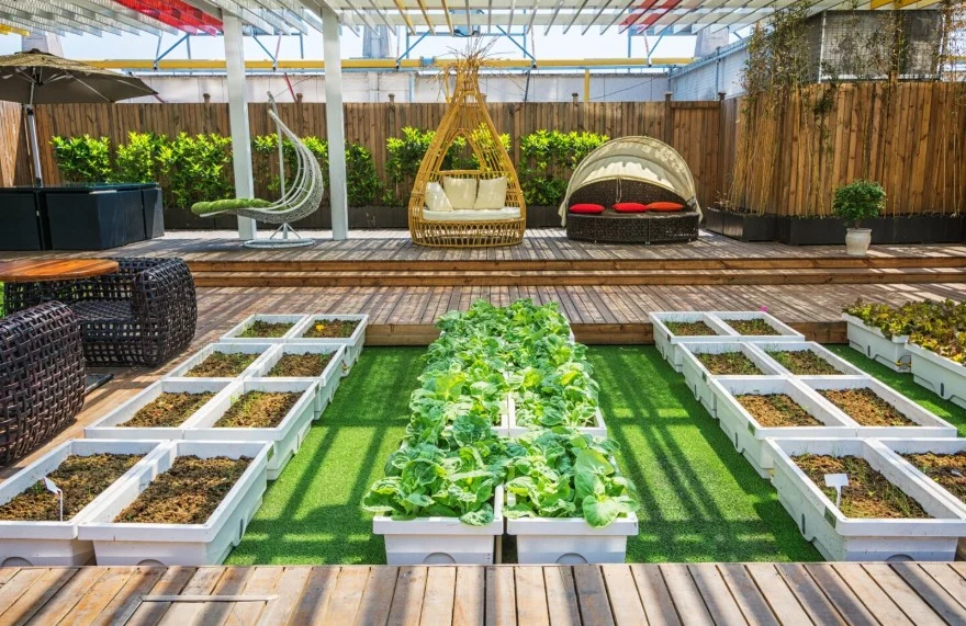 Simple Garden Upgrades That Make Outdoor Spaces Easier to Maintain